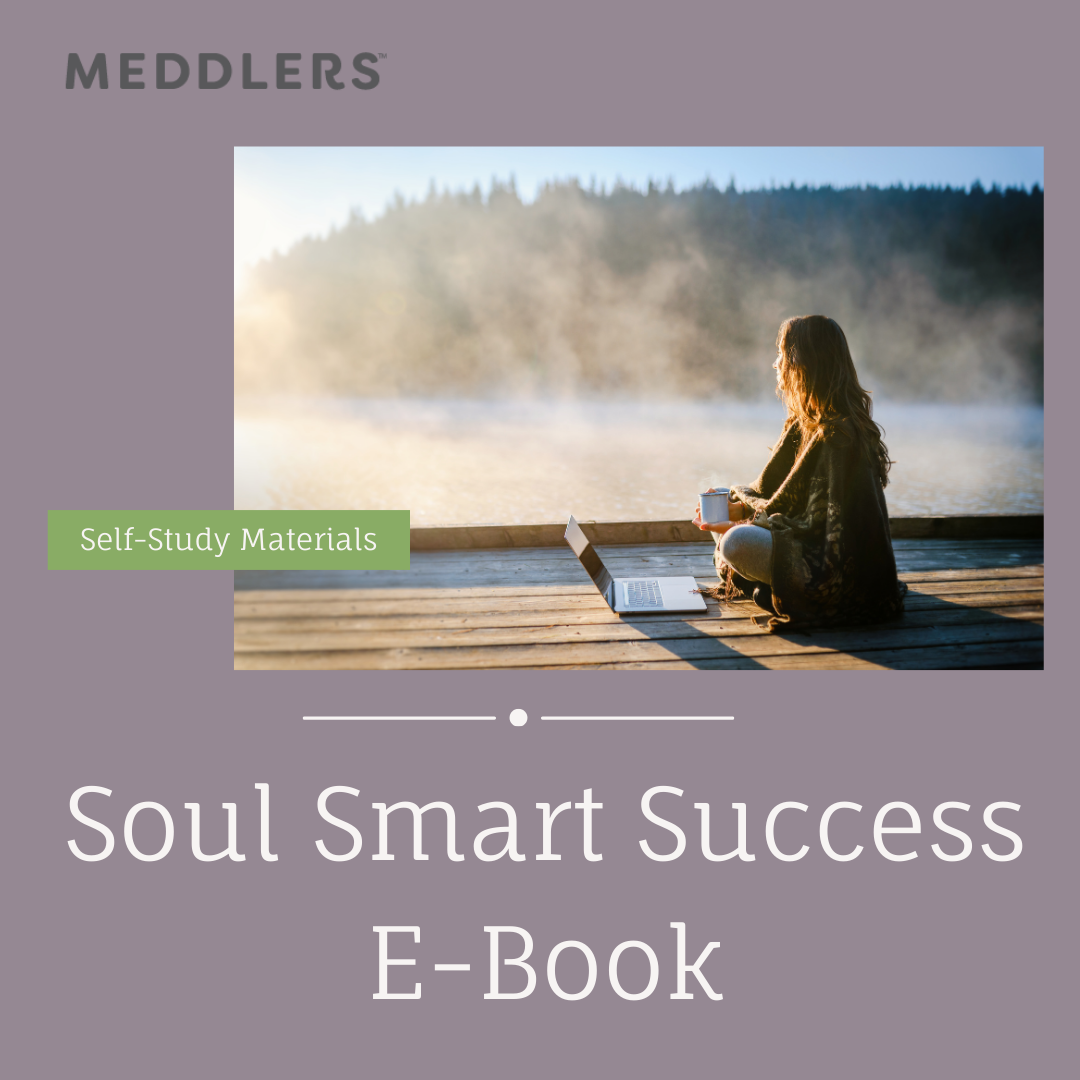 Soul Smart Success E-Book